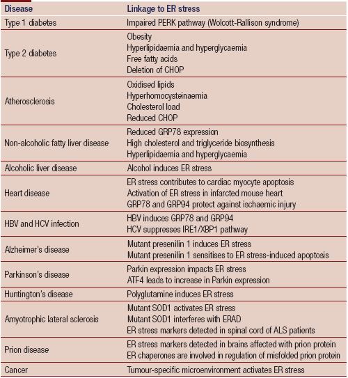 Role Of Endoplasmic Reticulum In Non Communicable Diseases Alias Journal Of Pharmaceutical And Biomedical Sciences